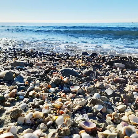 With Pool Near The * Marbella