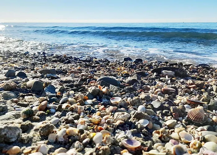 With Pool Near The * Marbella