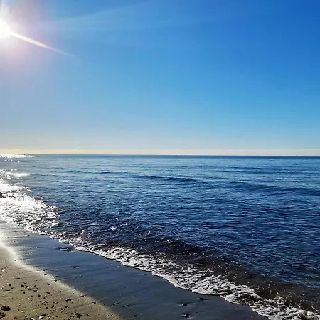 With Pool Near The *